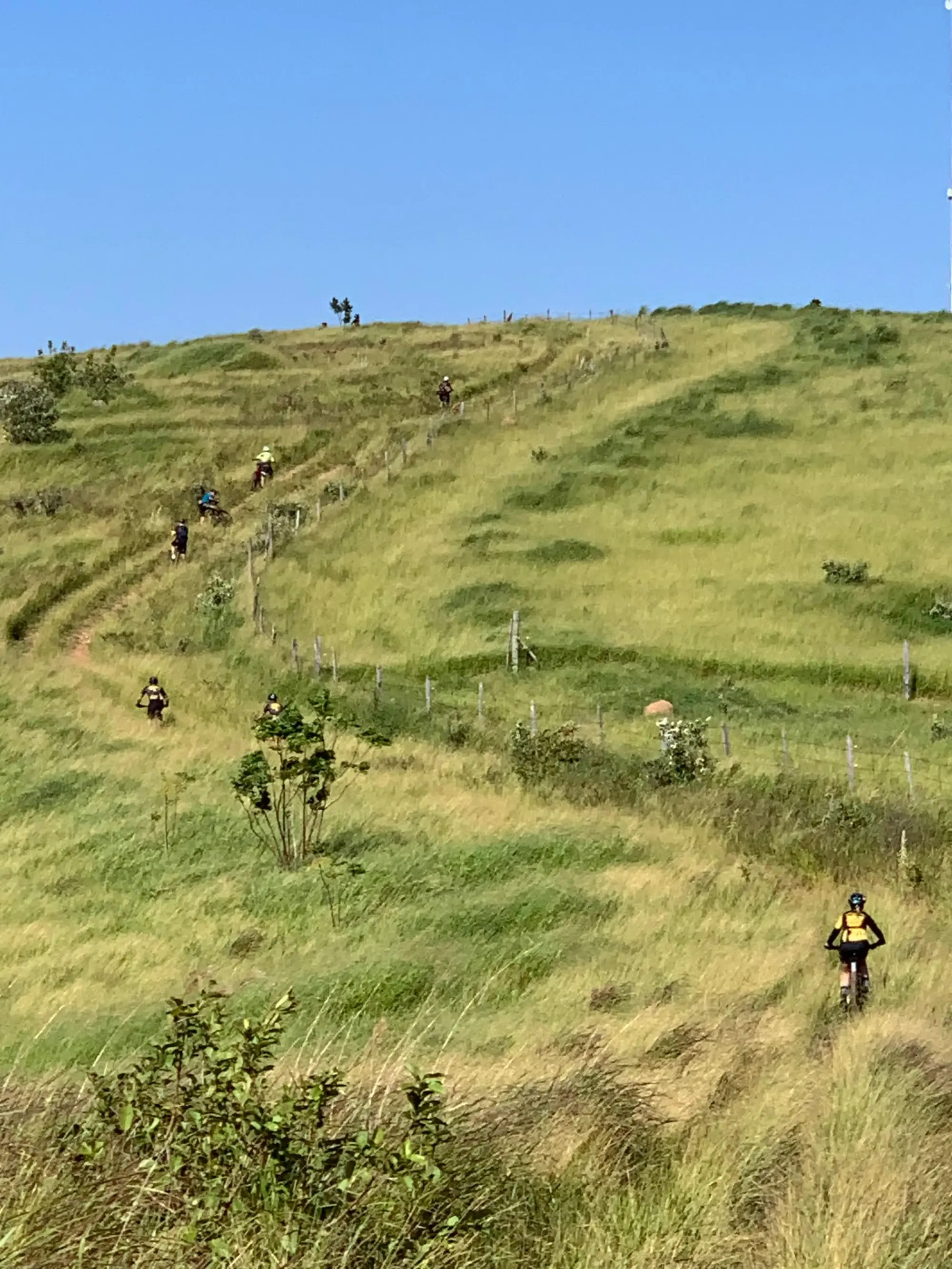 Pelotão de MTB do Amparo Ride subindo a trilha do morro